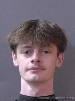 Booking photo from Hamilton County, Indiana