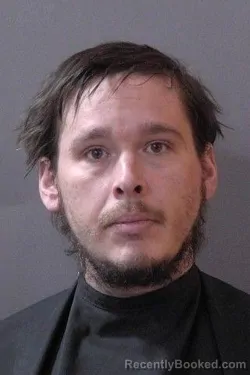 Booking photo from Hamilton County, Indiana