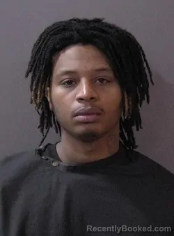 Booking photo from Hamilton County, Indiana