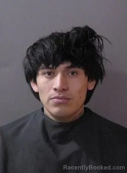 Booking photo from Hamilton County, Indiana