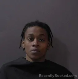 Mugshot of Nitasha Irene Lewis