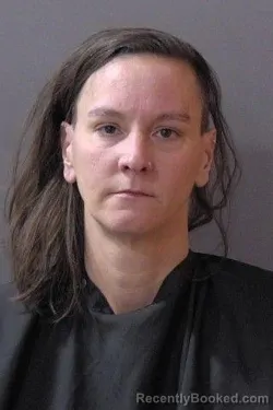 Booking photo from Hamilton County, Indiana