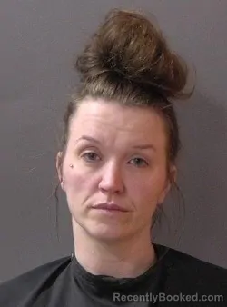 Booking photo from Hamilton County, Indiana