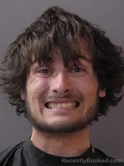 Mugshot of Adam Elijah Gillam