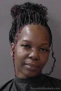 Mugshot of Jamie Marie Dugan