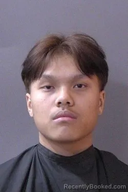 Mugshot of Zo Ram Chan