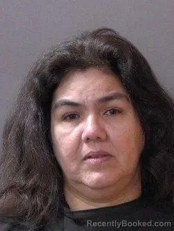 Mugshot of Linda Medina