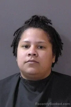 Mugshot of Braimar De Jesus Salcedo booked in Hamilton County, Indiana on March 9, 2026