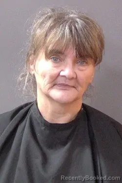 Mugshot of Rowena Sue Sizelove booked in Hamilton County, Indiana on March 10, 2026