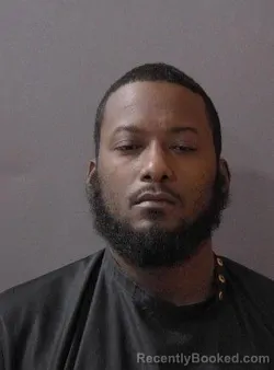 Mugshot of Stephan J Danzy booked in Hamilton County, Indiana on March 12, 2026