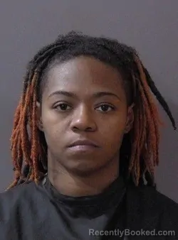 Mugshot of Anaiya Jailyn Williams booked in Hamilton County, Indiana on March 13, 2026