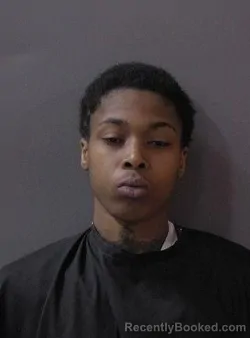 Mugshot of Isis Imani Hines booked in Hamilton County, Indiana on March 13, 2026