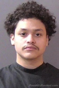 Mugshot of William Thomas Dabner