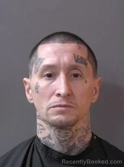 Mugshot of Wade Levi McAnalley booked in Hamilton County, Indiana on March 18, 2026