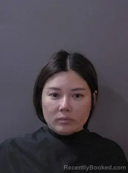 Mugshot of Xiangmei Wen booked in Hamilton County, Indiana on March 18, 2026