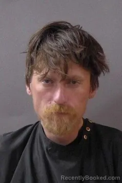 Mugshot of Michael Thomas Webber booked in Hamilton County, Indiana on March 19, 2026