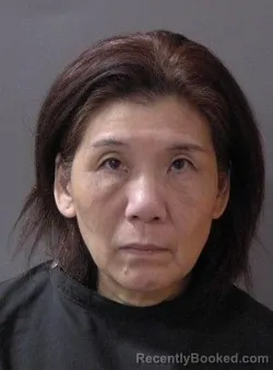 Mugshot of Xuelian Lin booked in Hamilton County, Indiana on March 20, 2026