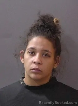 Mugshot of Kayley Alexis Oudin booked in Hamilton County, Indiana on March 20, 2026