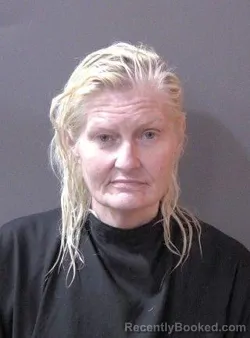 Mugshot of Stacy Eileen Painter booked in Hamilton County, Indiana on March 25, 2026