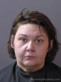 Mugshot of Brittany Ann Voege booked in Hamilton County, Indiana on March 29, 2026