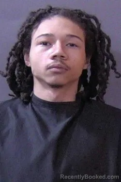 Mugshot of Dimitri Clarence Webb booked in Hamilton County, Indiana on March 30, 2026