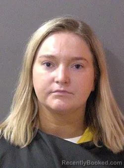 Mugshot of Violet Reid Etchison booked in Hamilton County, Indiana on March 31, 2026