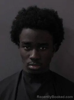 Mugshot of Edward Oluwadamila Efuntoye booked in Hamilton County, Indiana on April 1, 2026