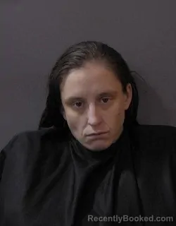 Mugshot of Michaela N Snyder booked in Hamilton County, Indiana on April 1, 2026