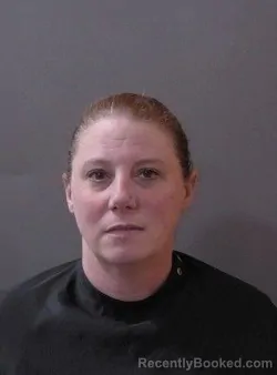 Mugshot of Delane Ann Emmons booked in Hamilton County, Indiana on April 2, 2026