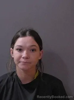 Mugshot of English Elizabeth Ruth Isaacs booked in Hamilton County, Indiana on April 4, 2026