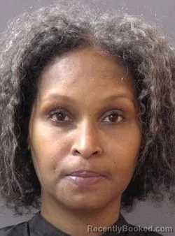 Mugshot of Kerri Renee Officer-Jones booked in Hamilton County, Indiana on April 5, 2026
