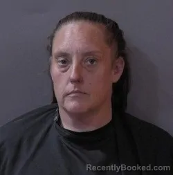 Mugshot of Crystal Marie Sanders booked in Hamilton County, Indiana on April 6, 2026