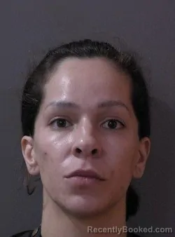 Mugshot of Sara Abigail Loar booked in Hamilton County, Indiana on April 12, 2026