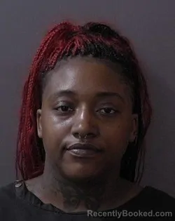 Mugshot of Audjanaie Michelle Jones booked in Hamilton County, Indiana on April 13, 2026