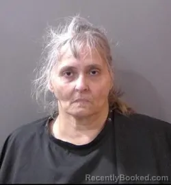 Mugshot of Janet Sue Estepp booked in Hamilton County, Indiana on April 24, 2026