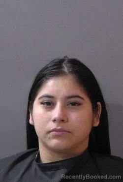 Mugshot of Giselle Saileth Castilla Ramirez booked in Hamilton County, Indiana on May 14, 2026