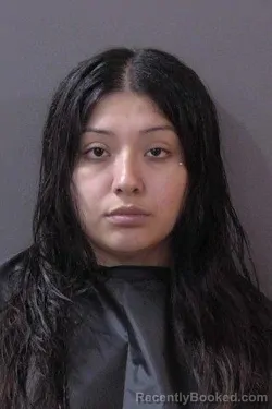 Mugshot of Jakelin Marisela Betancourth-Reyes booked in Hamilton County, Indiana on May 27, 2026