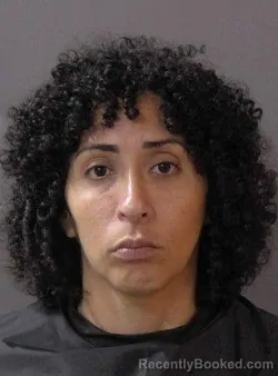 Mugshot of Araceli Elisabeth Ulloa booked in Hamilton County, Indiana on May 27, 2026