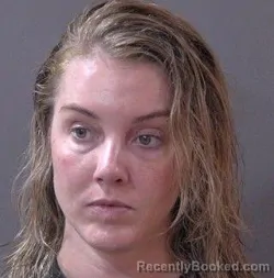 Mugshot of Danielle Leigh Henthorn booked in Hamilton County, Indiana on May 29, 2026