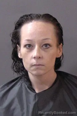 Mugshot of Meagan Suzanne Rodgers booked in Hamilton County, Indiana on June 1, 2026