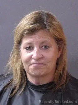Mugshot of Jodi Anne Meadows booked in Hamilton County, Indiana on June 4, 2026