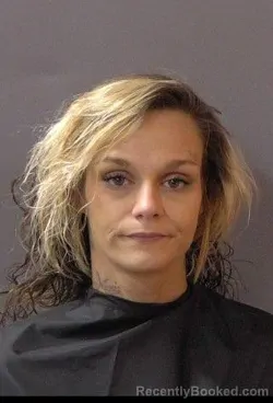 Mugshot of Shelby Lee Ann Williams booked in Hamilton County, Indiana on June 5, 2026