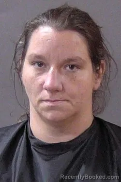 Mugshot of Michelle Renee Parks booked in Hamilton County, Indiana on June 15, 2026