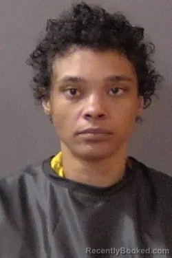Mugshot of Kenasia Dasherree Sheppard booked in Hamilton County, Indiana on June 15, 2026
