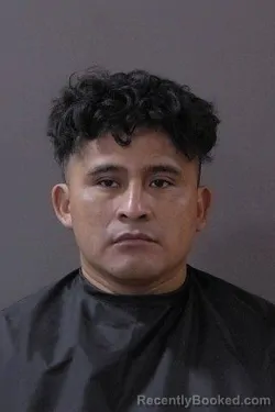 Mugshot of Fortino Perez-Roldan booked in Hamilton County, Indiana on June 15, 2026