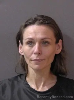 Mugshot of Amber Marie Pinkous booked in Hamilton County, Indiana on July 2, 2026