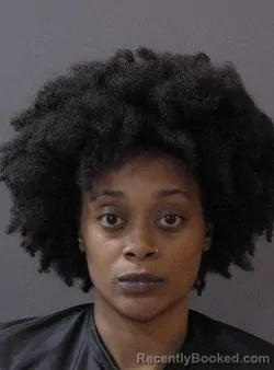 Mugshot of Brianna Shanice Wilson booked in Hamilton County, Indiana on July 6, 2026