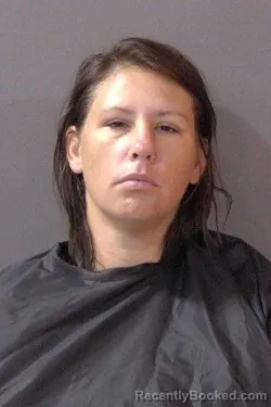 Mugshot of Devon Lee Dewees booked in Hamilton County, Indiana on July 8, 2026
