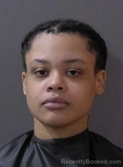 Mugshot of Desiree Shantell Flemming booked in Hamilton County, Indiana on July 9, 2026