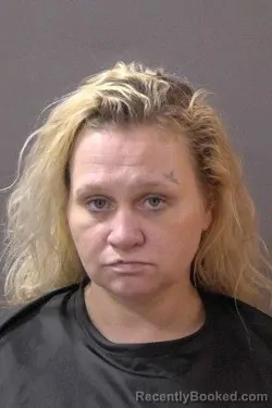 Mugshot of Alicia Ann Meranda booked in Hamilton County, Indiana on July 10, 2026